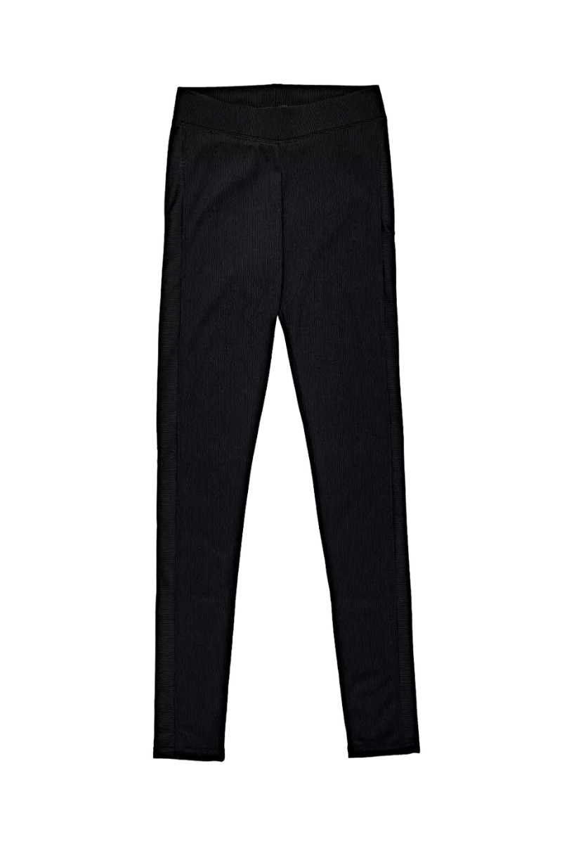 All Season Yoke Legging