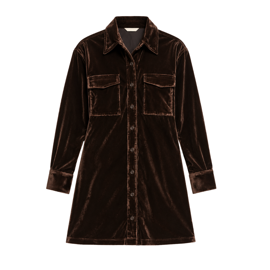 Briella Long Sleve Velour Dress