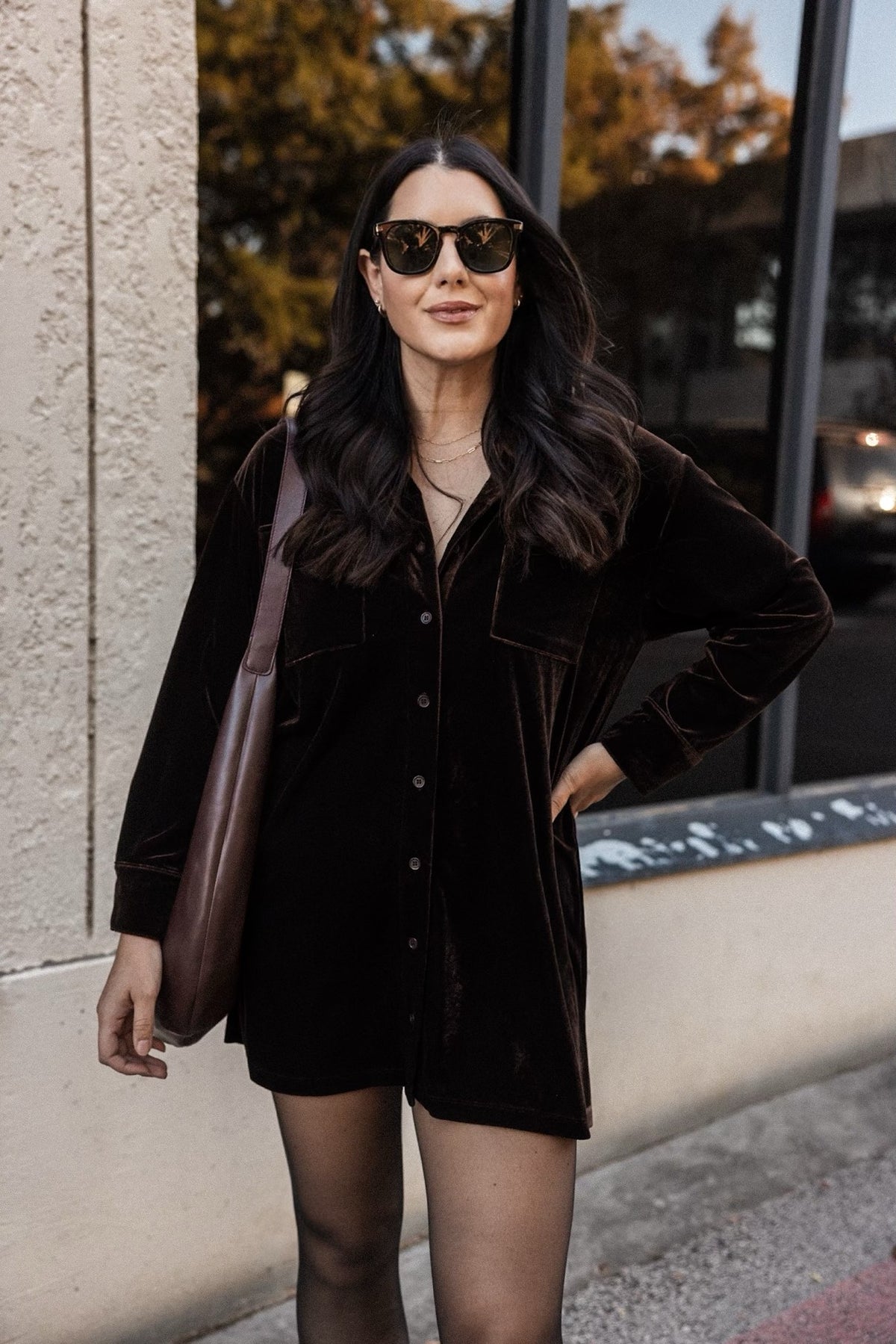 Briella Long Sleve Velour Dress