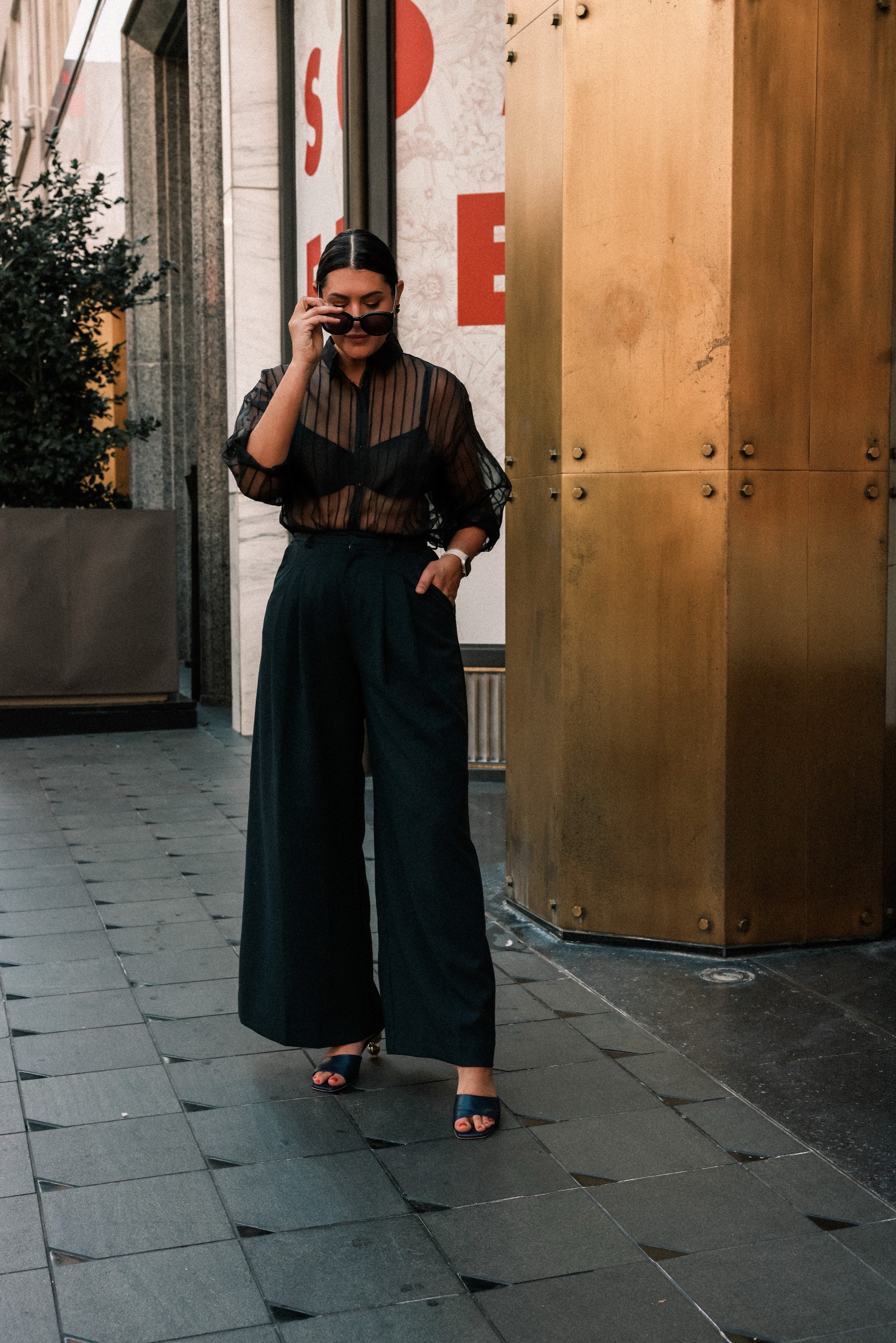 Sheer Striped Blouse