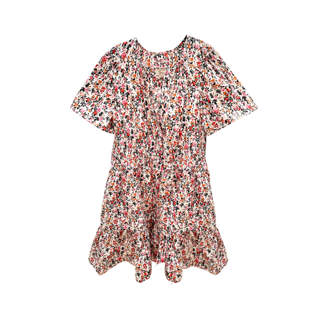 The Somerset Mini Dress