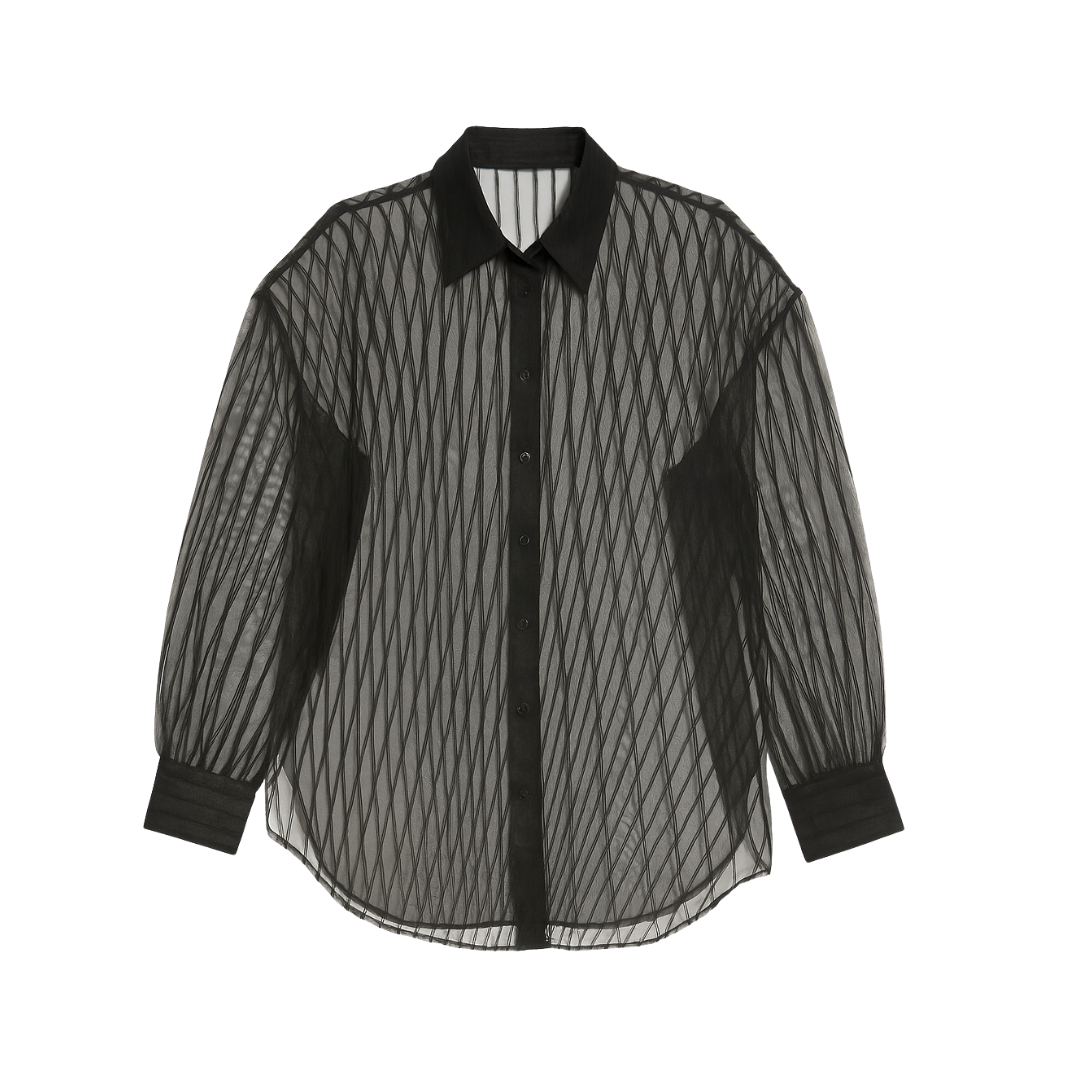 Sheer Striped Blouse